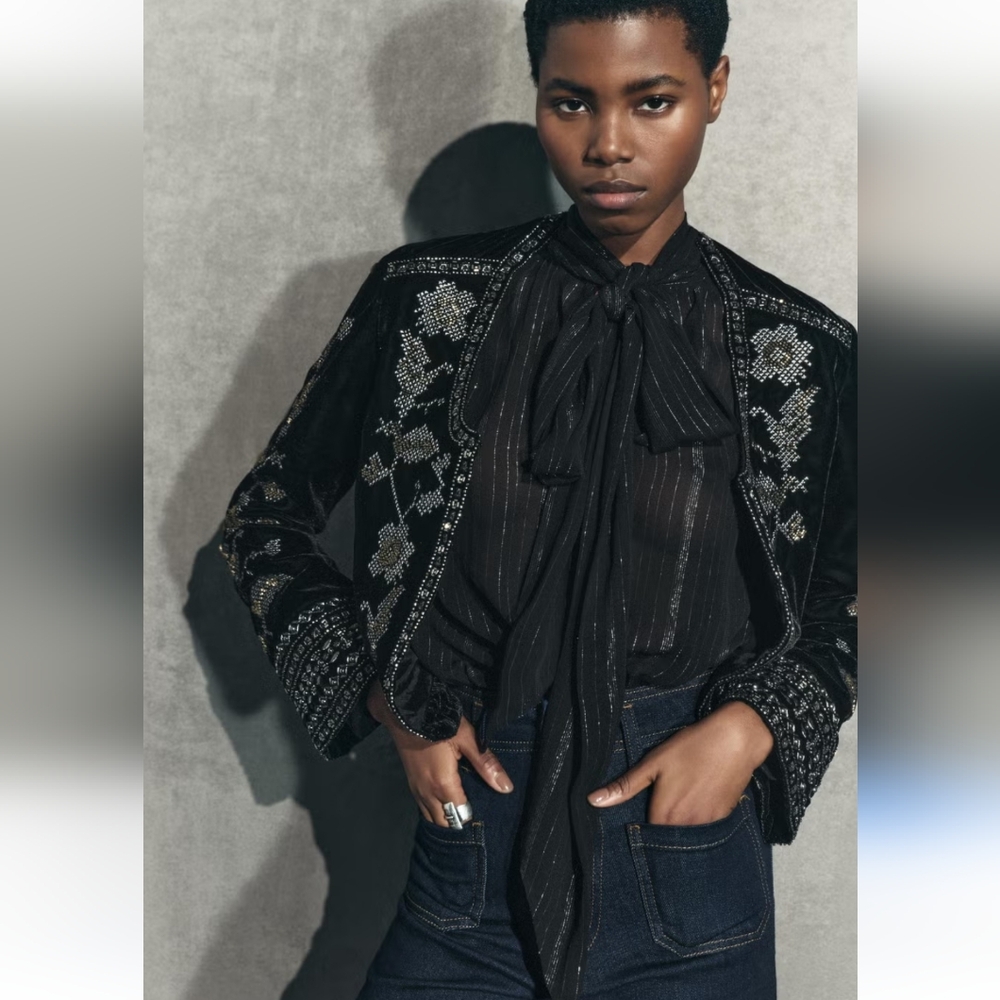 BNWT! Zara Embroidered velvet jacket